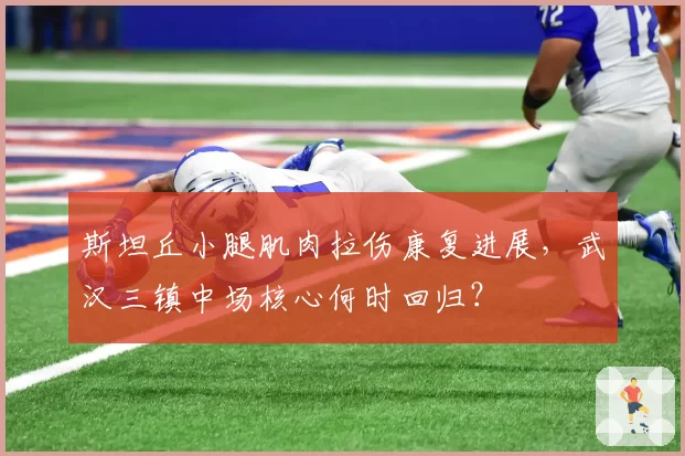 斯坦丘小腿肌肉拉伤康复进展，武汉三镇中场核心何时回归？