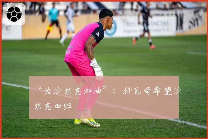 “为沙尔克加油”：科瓦奇希望沙尔克回归