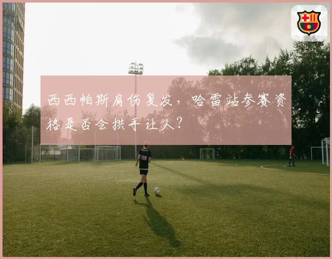 西西帕斯肩伤复发,哈雷站参赛资格是否会拱手让人?