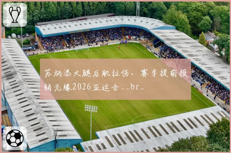 苏炳添大腿后肌拉伤，赛季提前报销无缘2026亚运会__br_